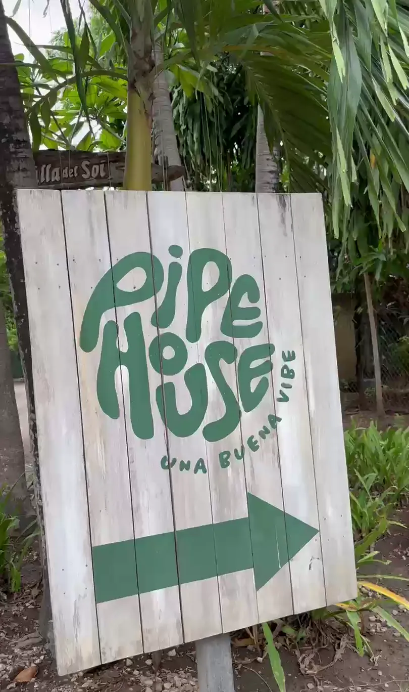 A hand-painted timber sign at a tropical garden entrance, framed by palm leaves