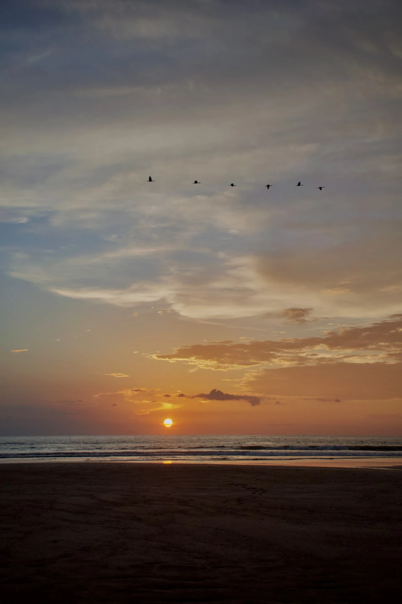 Sun setting over the ocean beneath scattered clouds and birds