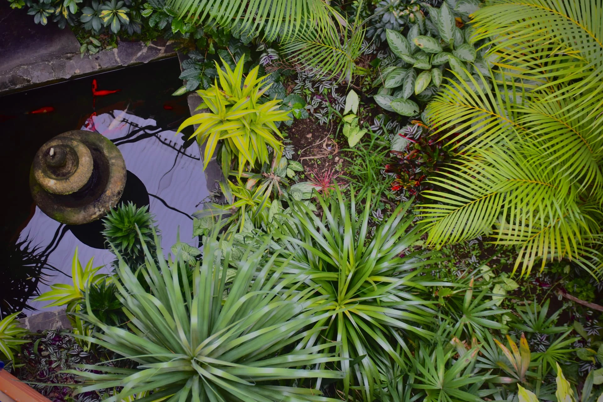 Overhead view of a lush garden courtyard and water feature