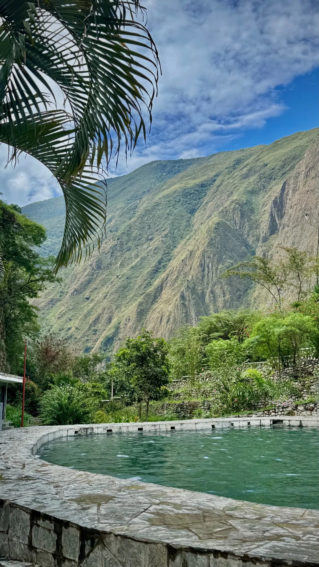 A stone-edged pool beneath palm leaves and steep green mountains